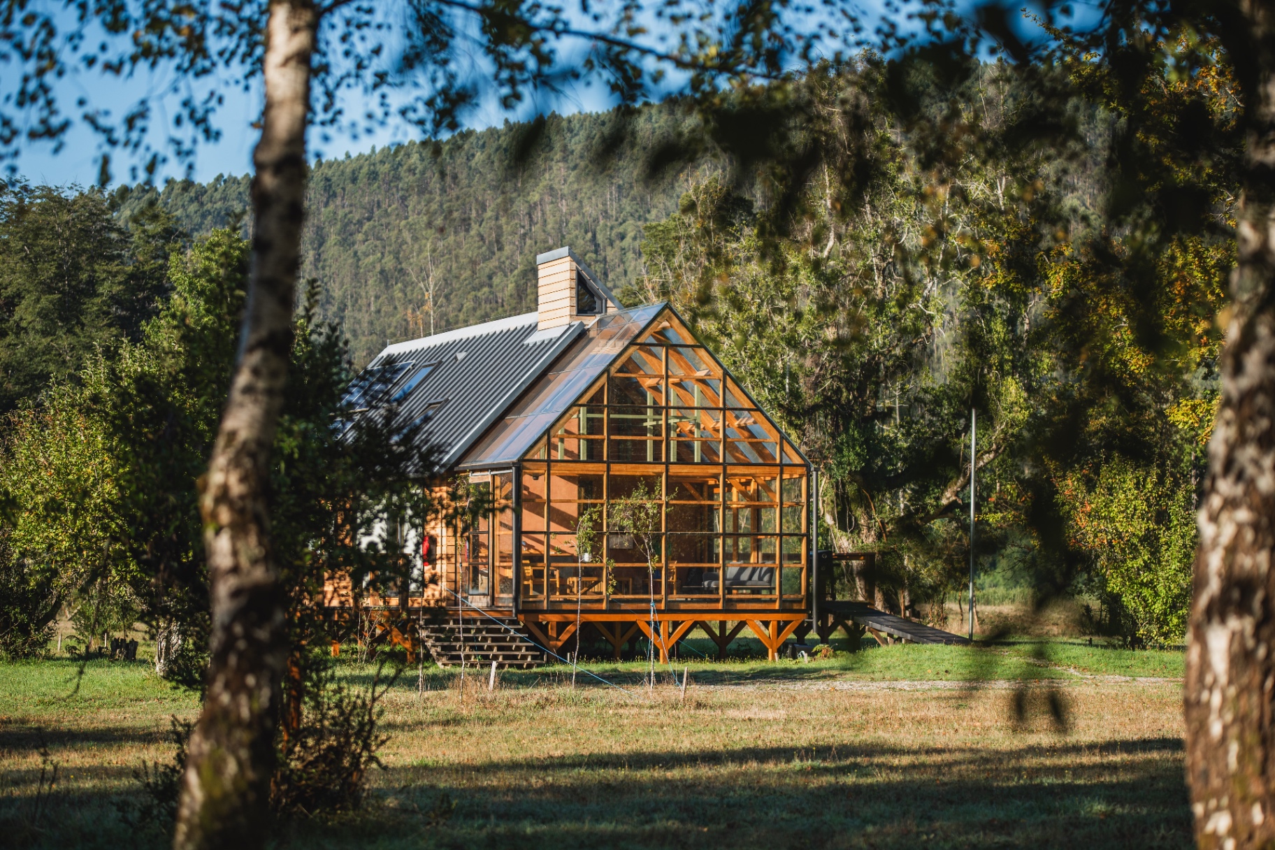 Casa de madera y vidrio integrada al paisaje boscoso de la isla