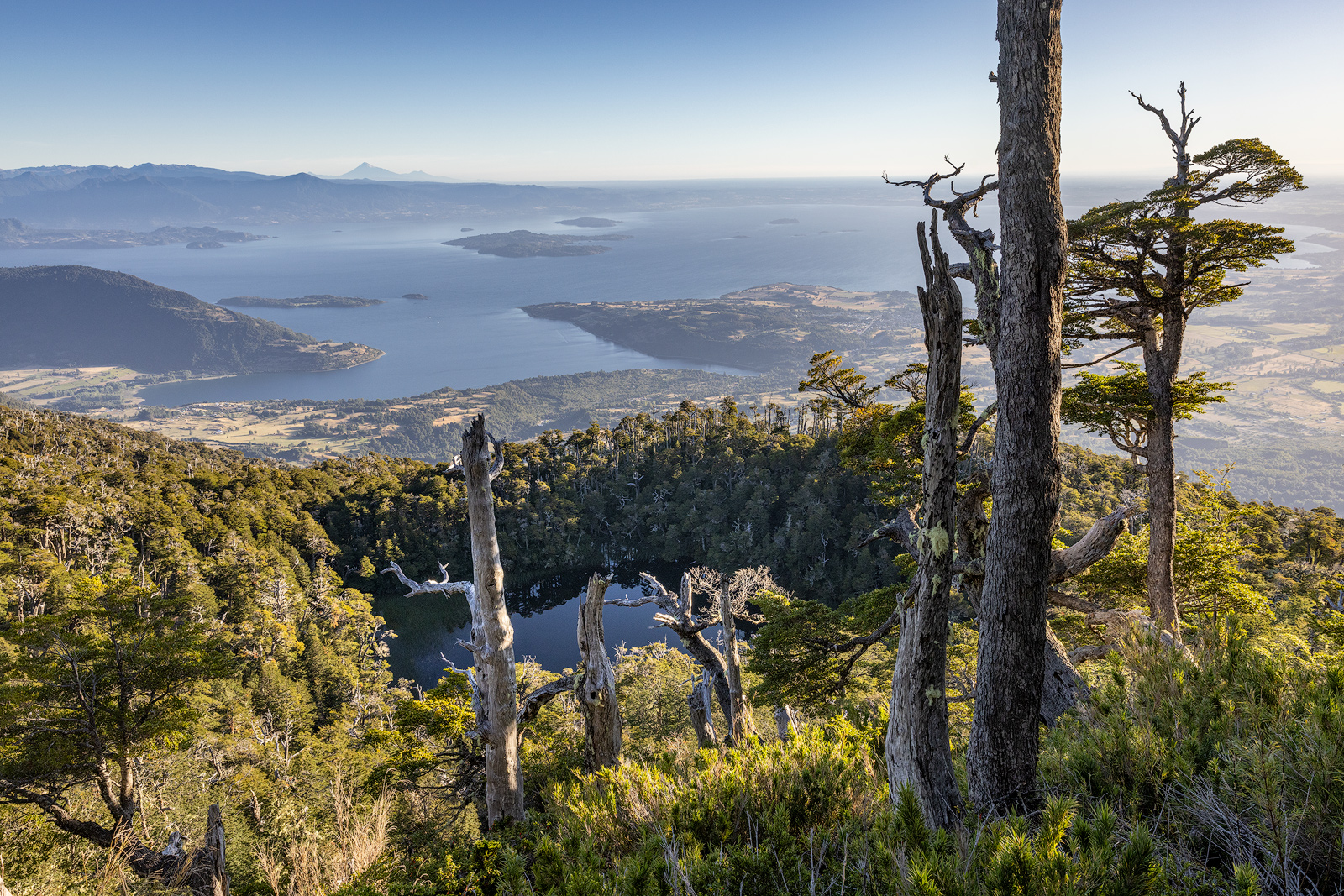 Vista panorámica del lago y volcanes desde el bosque nativo