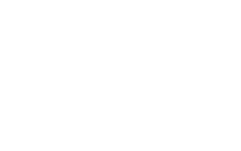 Fundo Leona